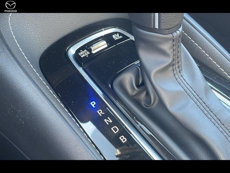 suzuki - Visuel 19