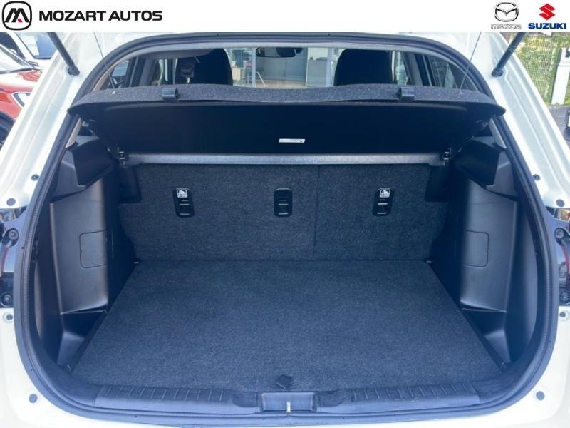 suzuki - Visuel 5