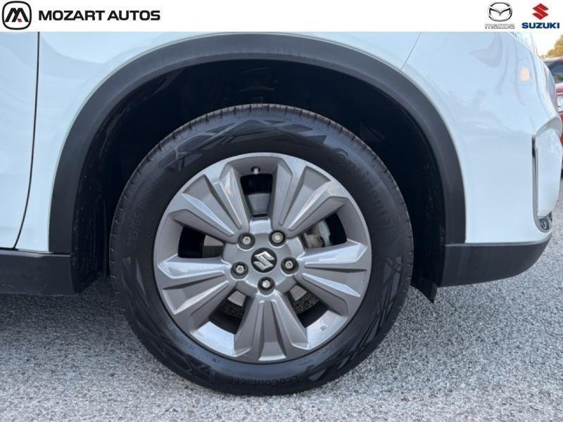 suzuki - Visuel 13
