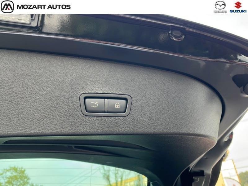 alfa romeo - Visuel 9