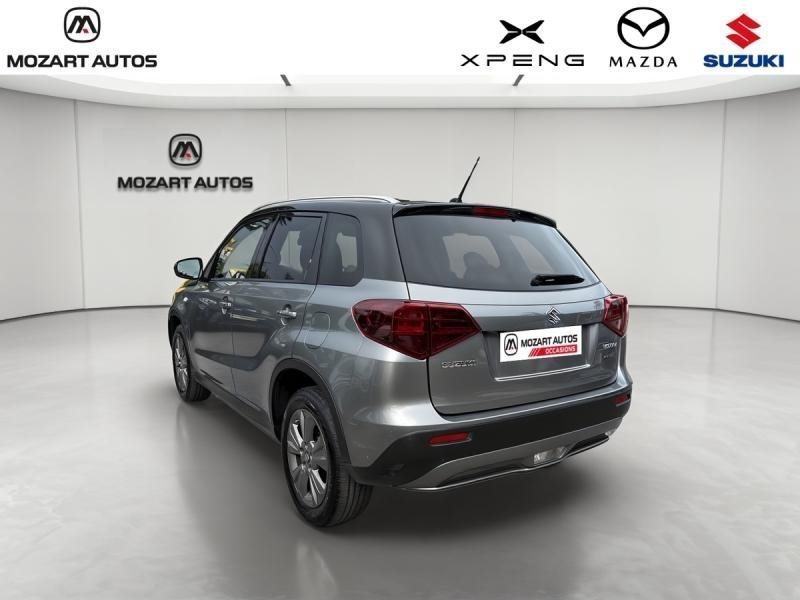 suzuki - Visuel 2