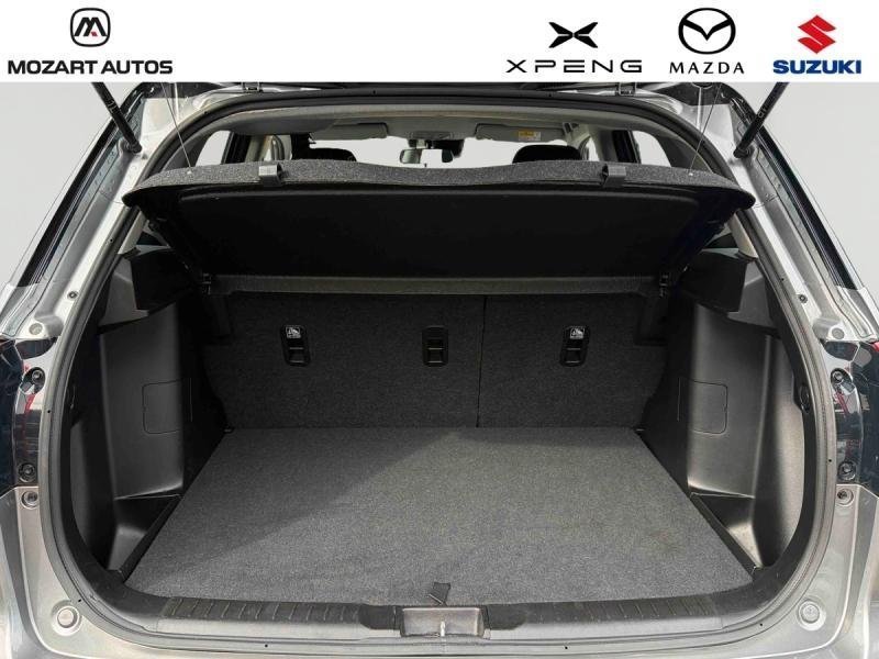 suzuki - Visuel 4