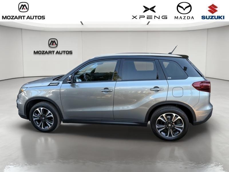 suzuki - Visuel 1