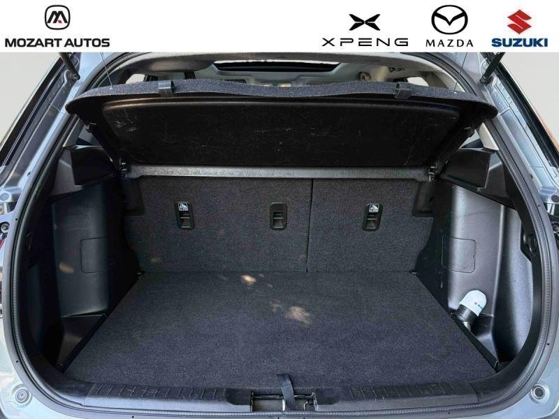 suzuki - Visuel 13