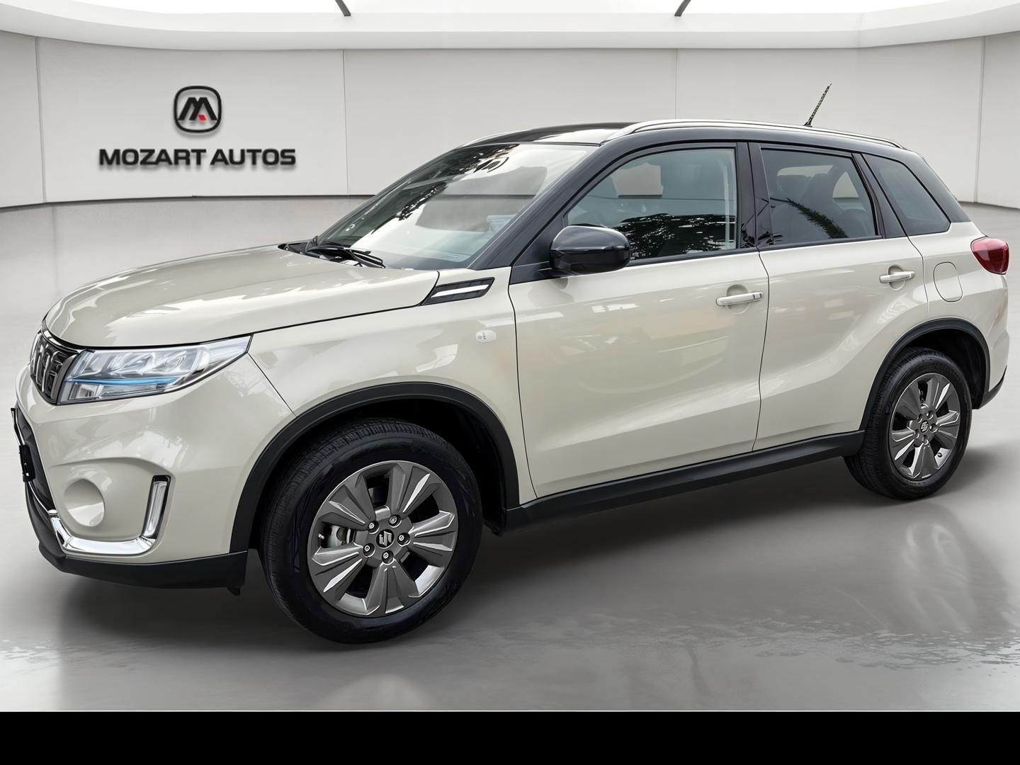 suzuki - Visuel 1