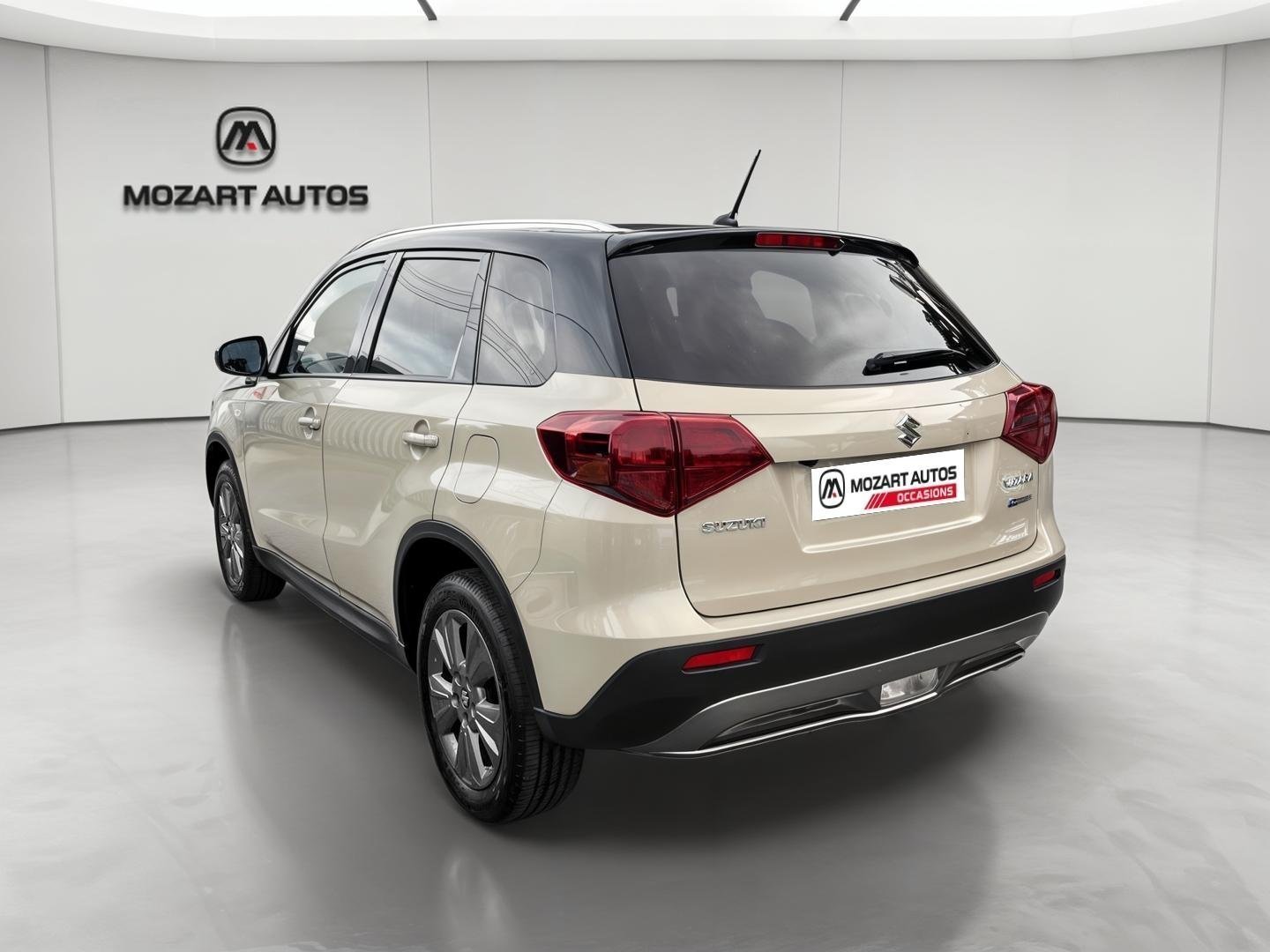 suzuki - Visuel 2