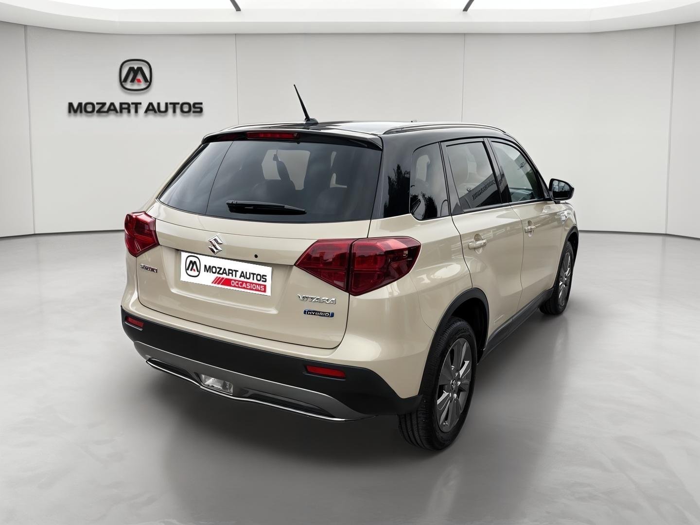 suzuki - Visuel 5