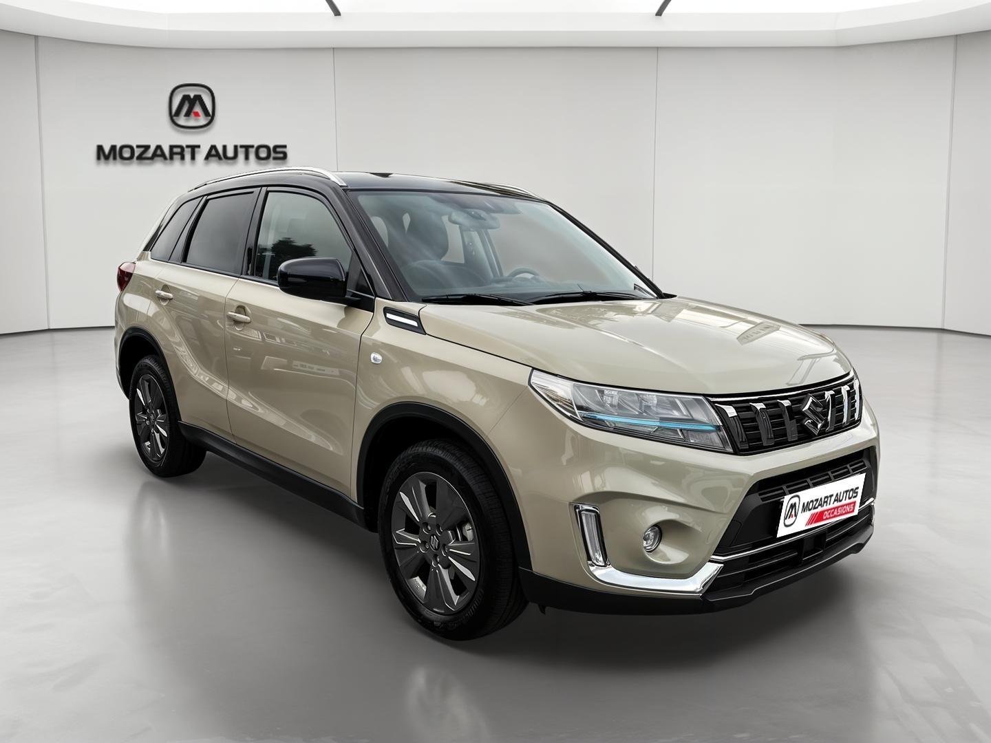 suzuki - Visuel 7