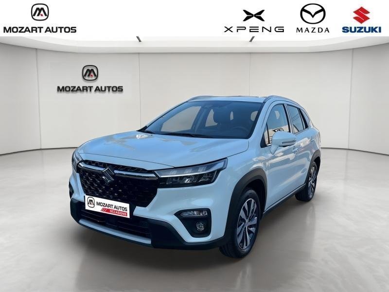 suzuki - Visuel 0