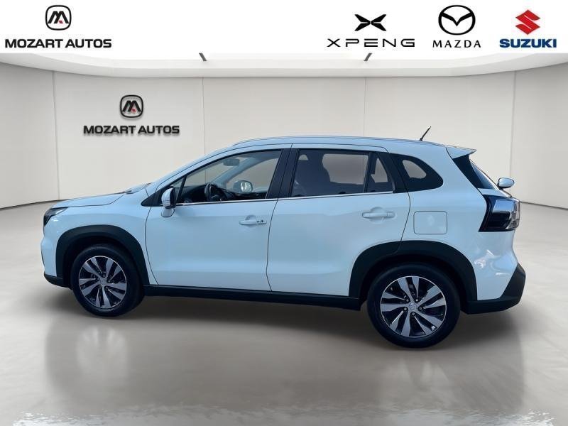 suzuki - Visuel 1
