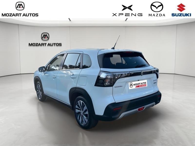 suzuki - Visuel 2