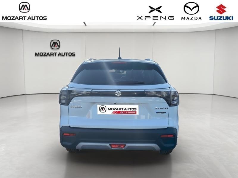 suzuki - Visuel 3