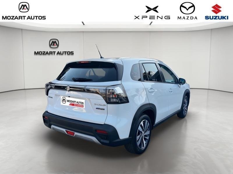 suzuki - Visuel 4