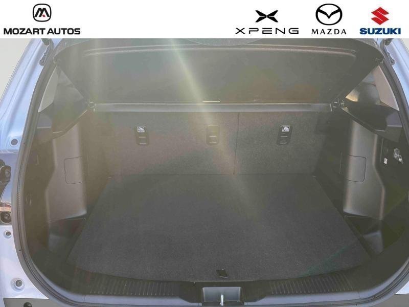 suzuki - Visuel 8