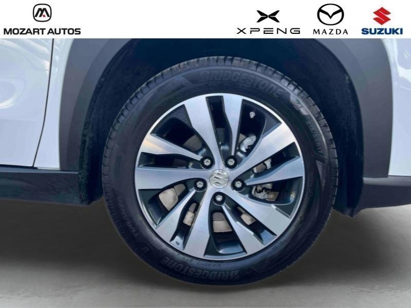 suzuki - Visuel 9