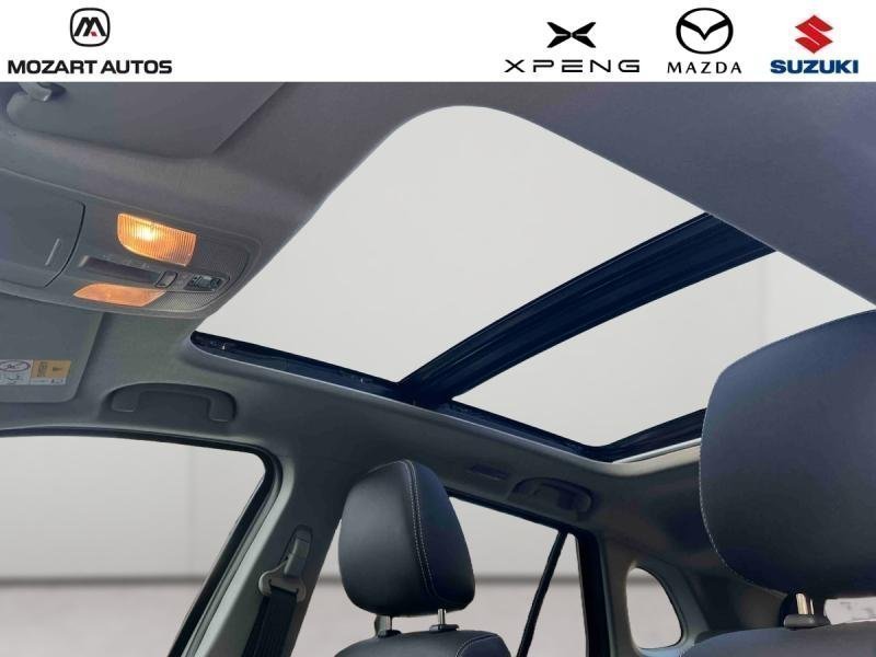 suzuki - Visuel 13