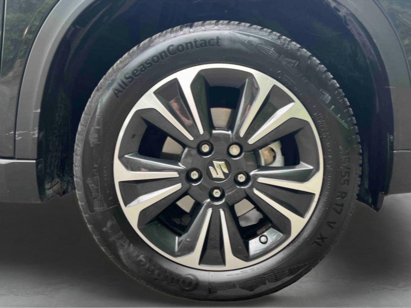 suzuki - Visuel 9