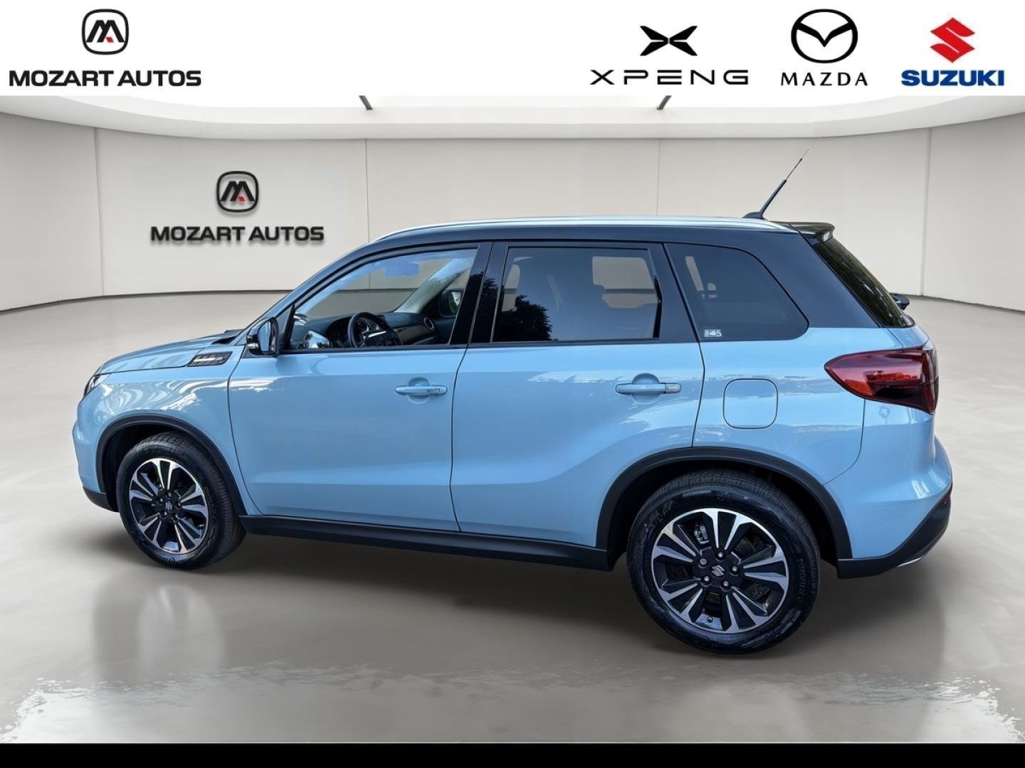 suzuki - Visuel 1