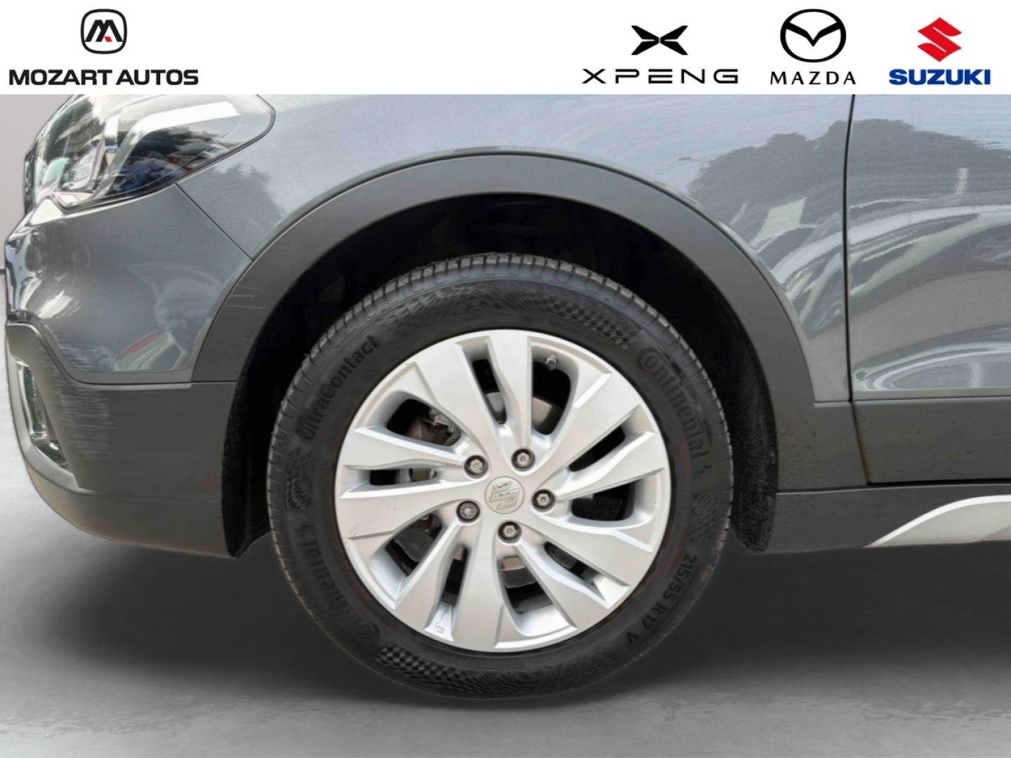 suzuki - Visuel 9