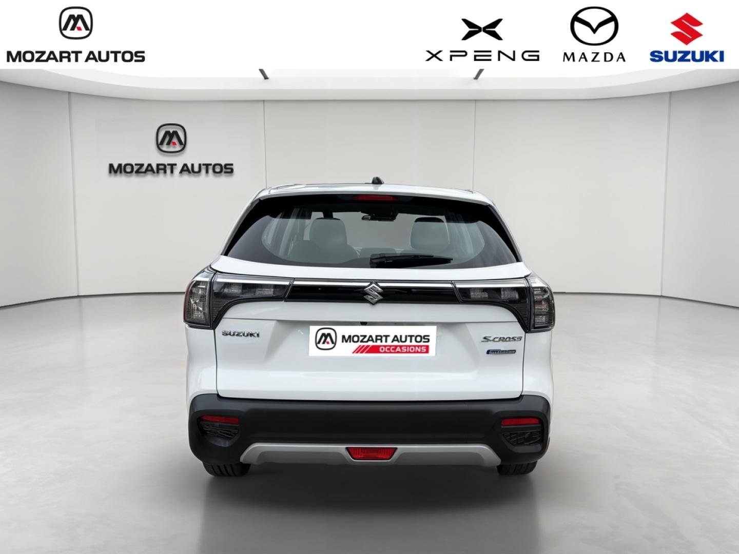 suzuki - Visuel 3