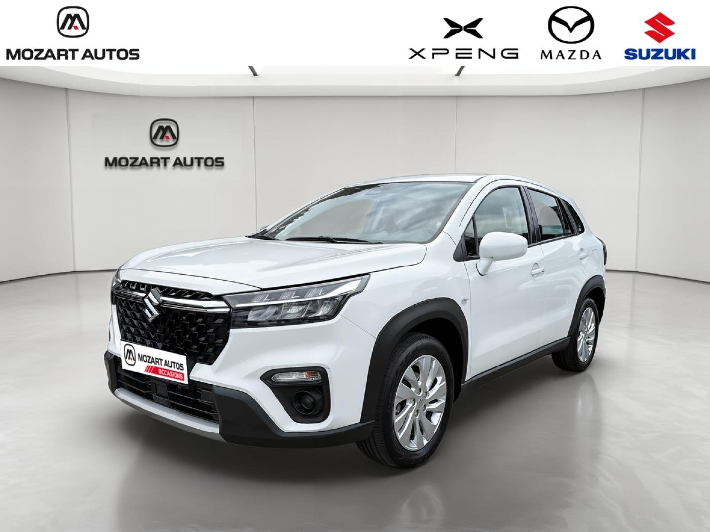 suzuki - Visuel 0