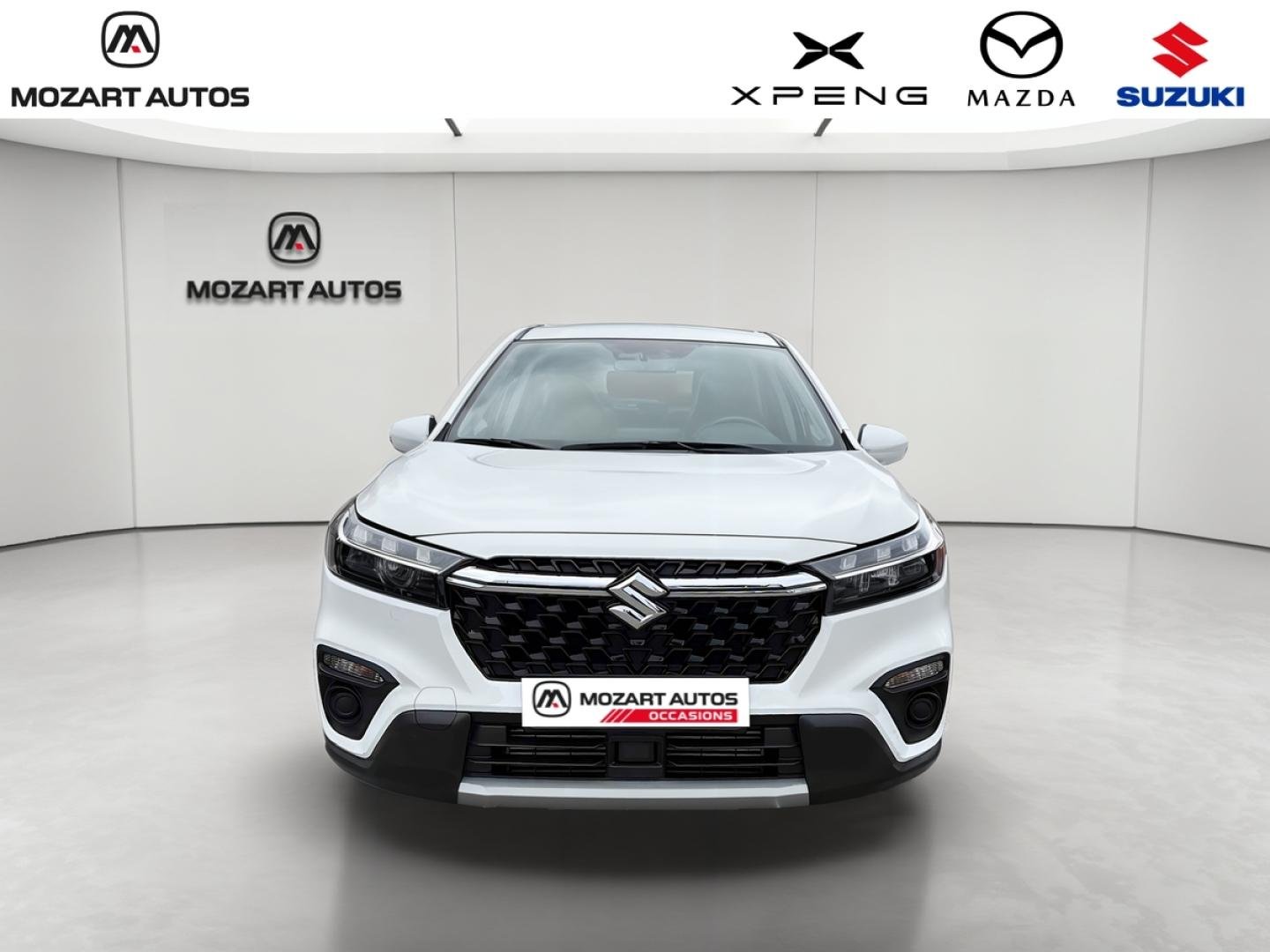 suzuki - Visuel 7