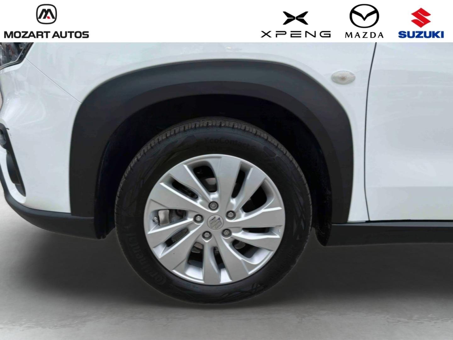 suzuki - Visuel 8