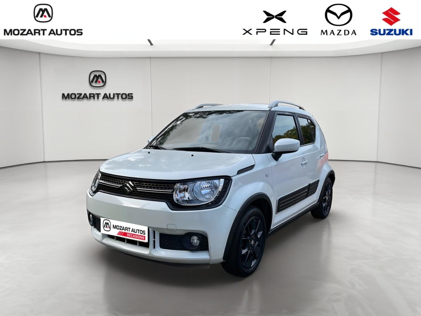 suzuki - Visuel 0