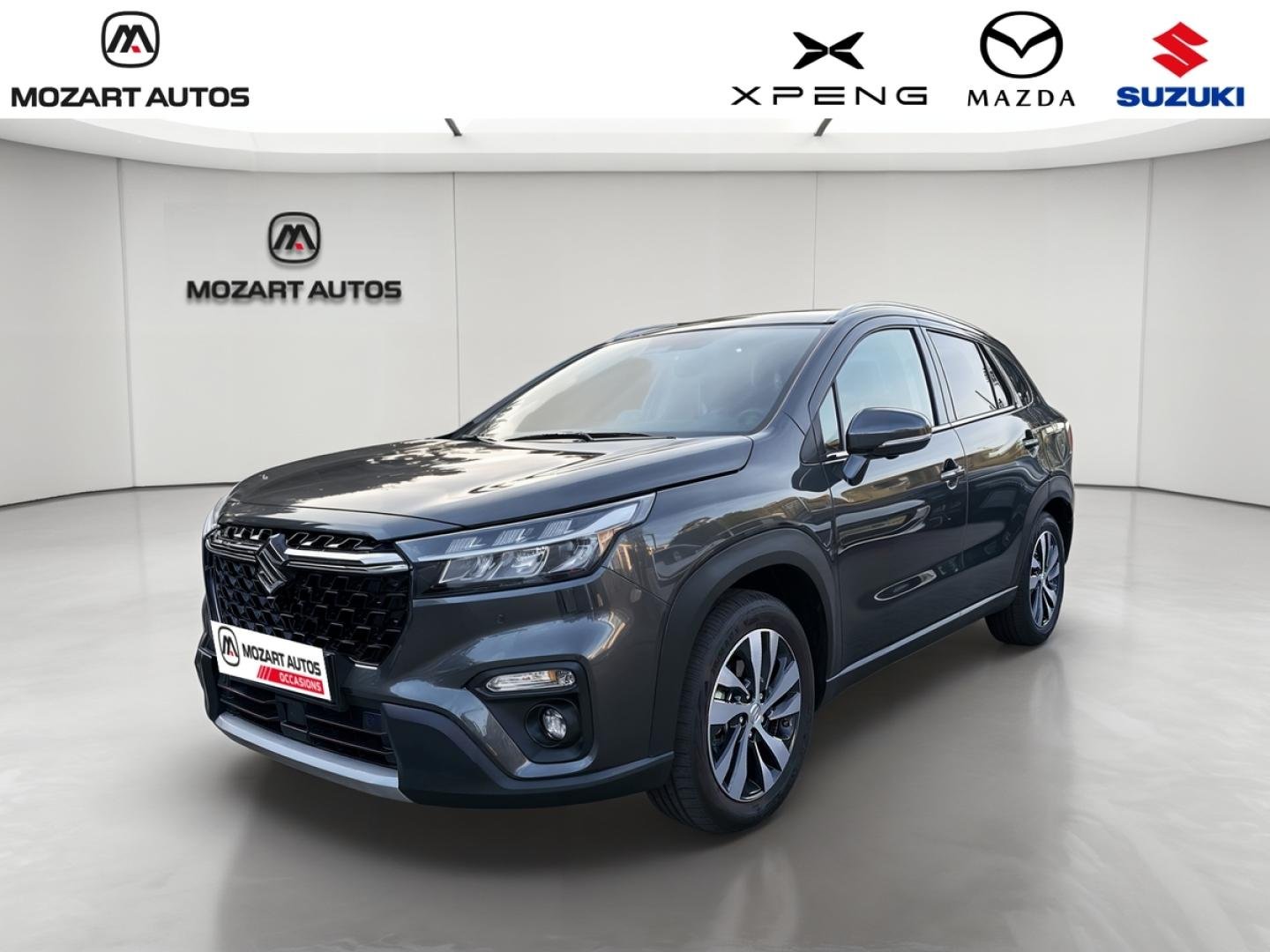 suzuki - Visuel 0