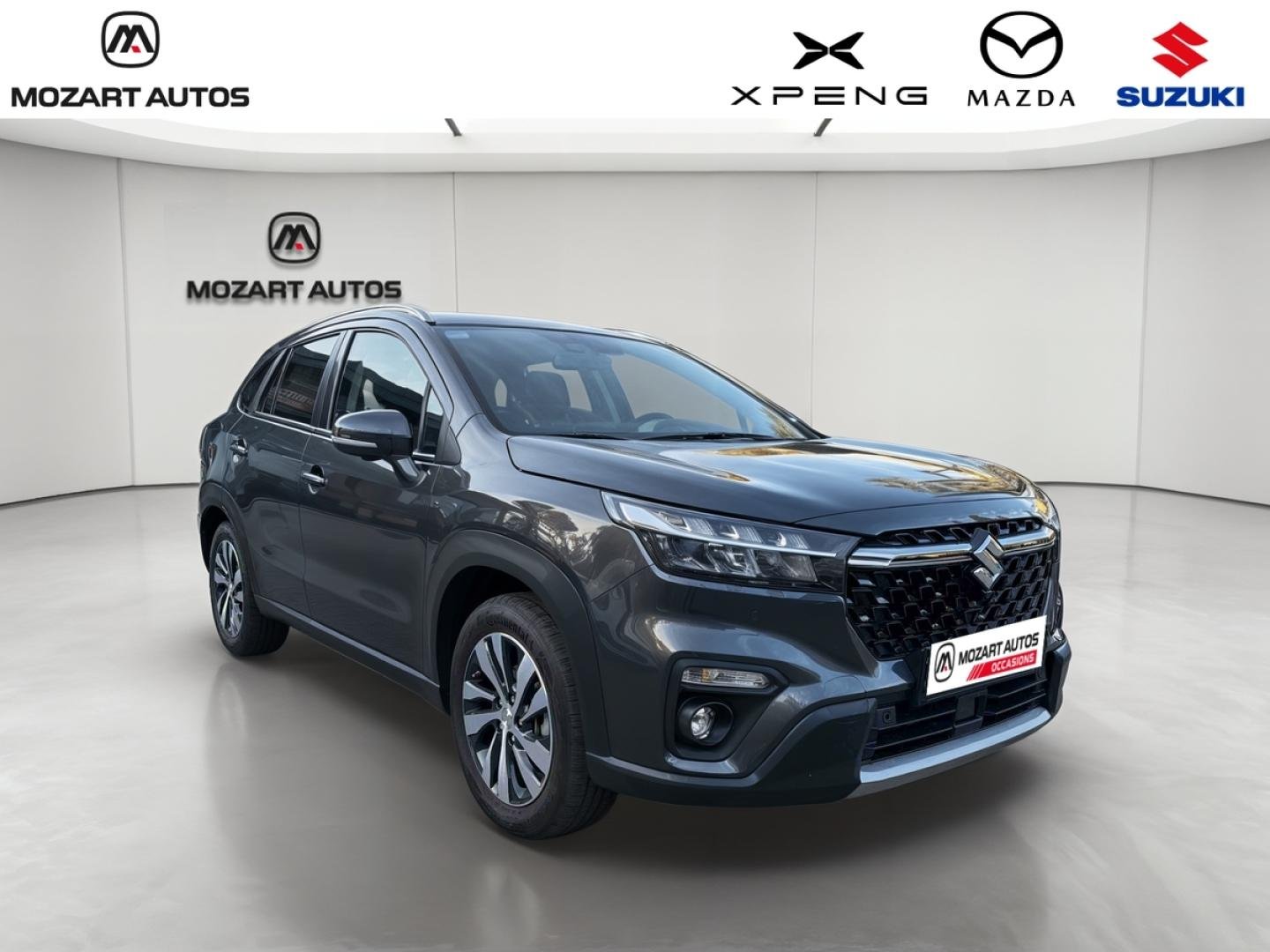 suzuki - Visuel 1