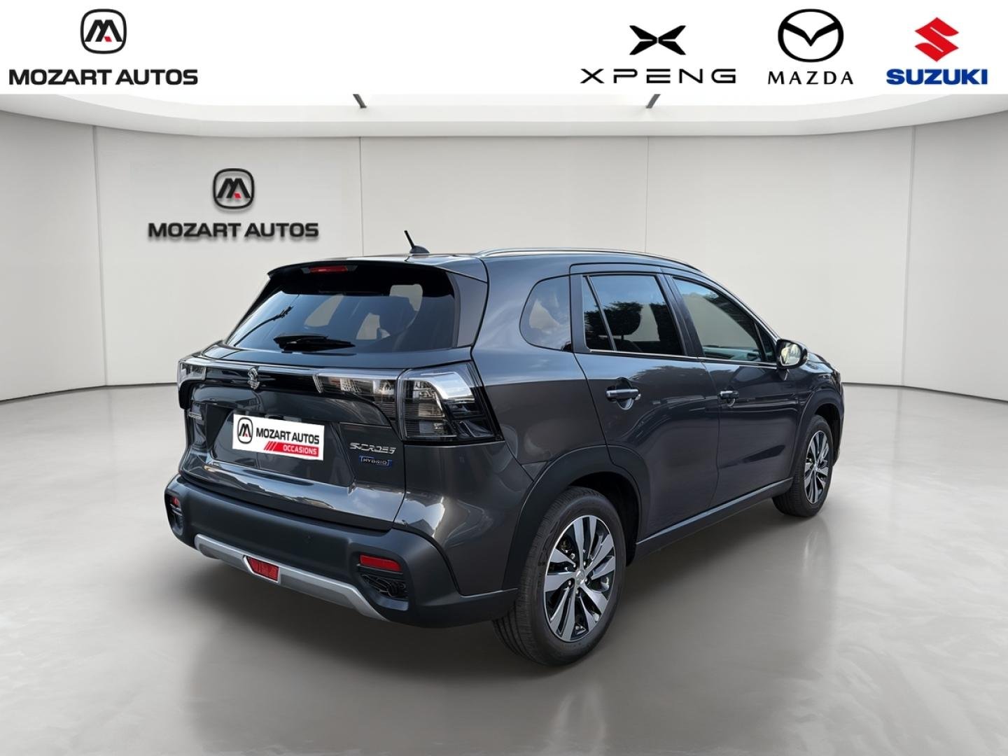 suzuki - Visuel 3