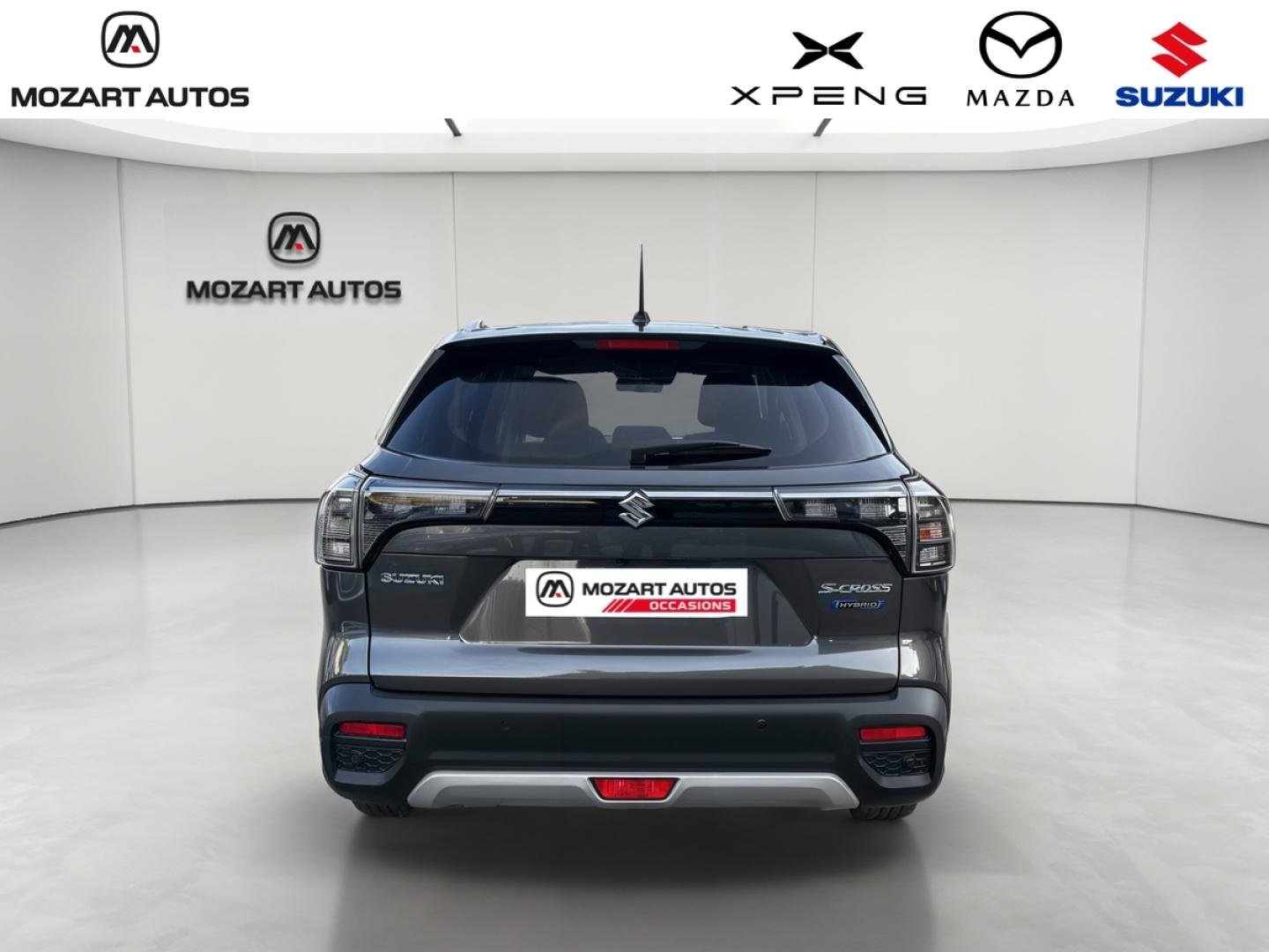 suzuki - Visuel 5