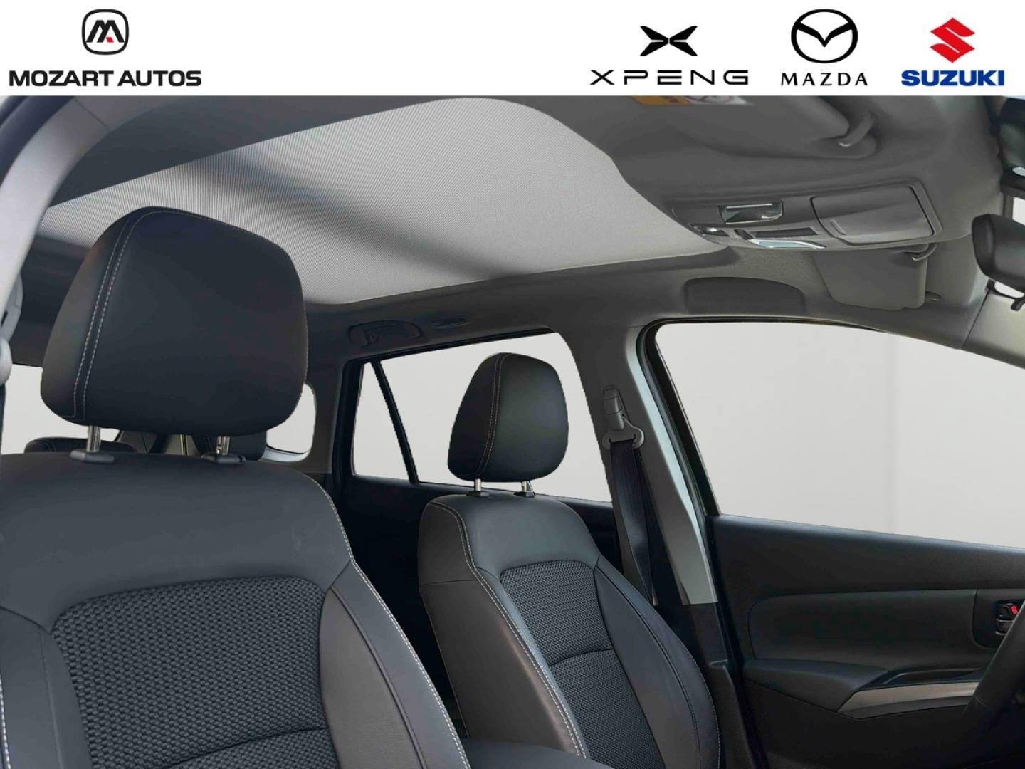 suzuki - Visuel 16