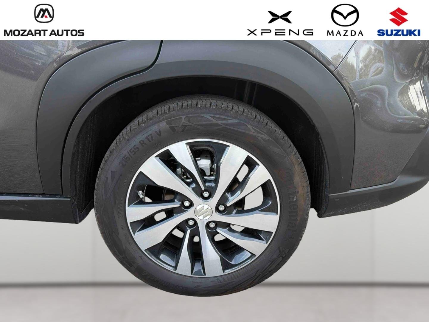 suzuki - Visuel 18