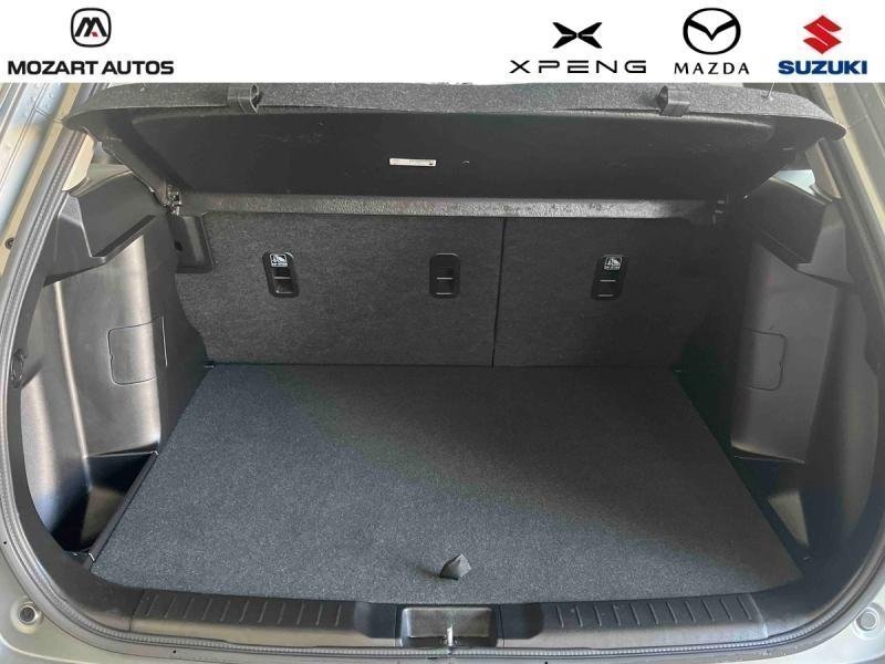 suzuki - Visuel 4